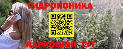 гашишное масло Будённовск
