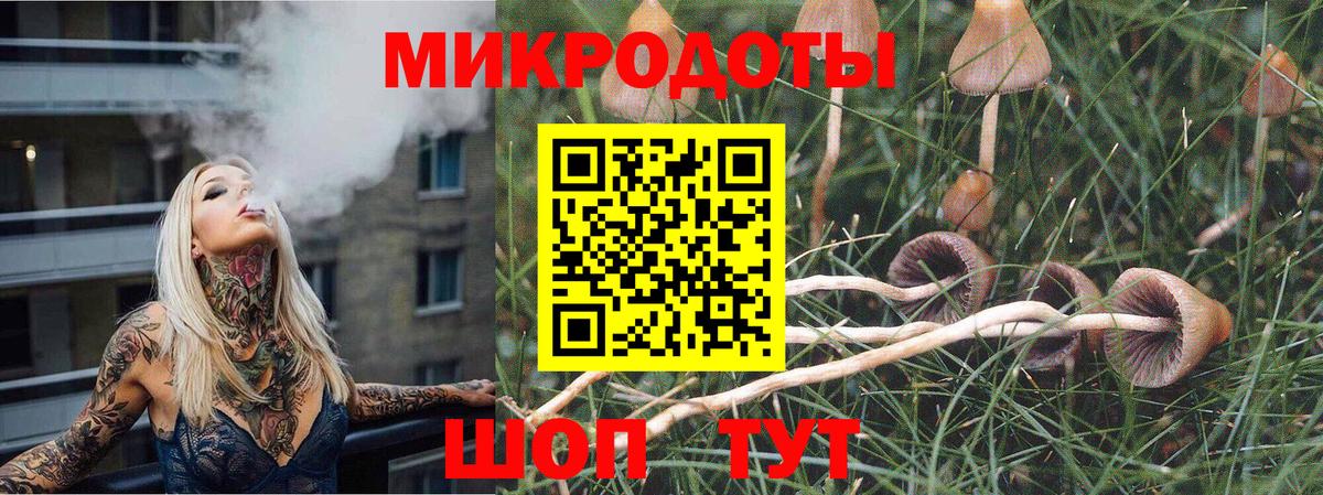 Ярославль  Галлюциногенные грибы Magic Shrooms  Вход с VPN 
